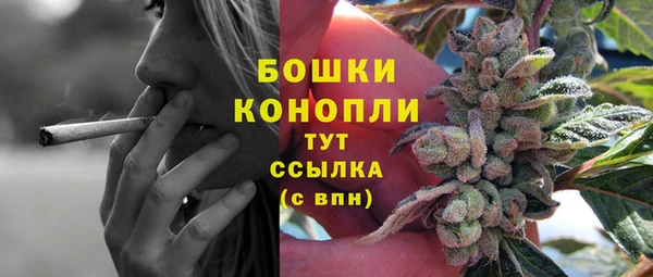 PSILOCYBIN Вязьма