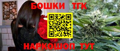 индика Лесосибирск