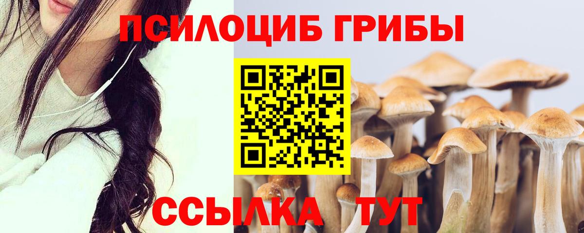 Псилоцибиновые грибы MAGIC MUSHROOMS  Вход с VPN  Псилоцибиновые грибы Psilocybe  Десногорск 